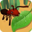 蚂蚁进化3D下载