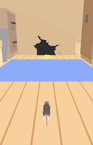 õapp