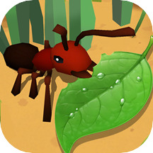 蚂蚁进化3d破解版