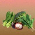 һҲͬϷ׿