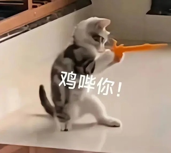鸡哔你表情包