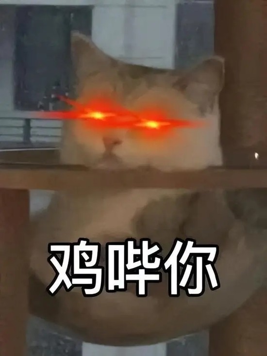 鸡哔你表情包