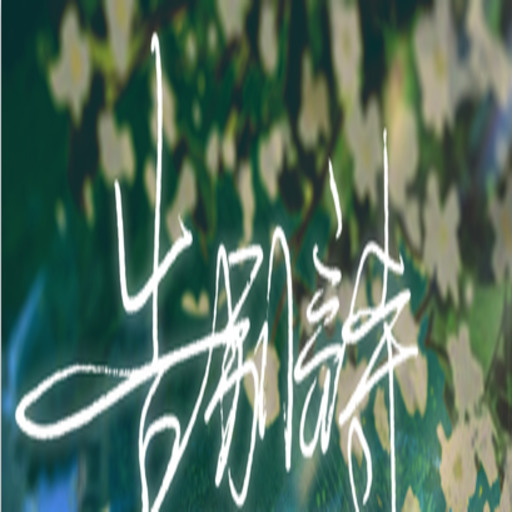 ʫʮ