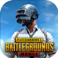 pubgǿ
