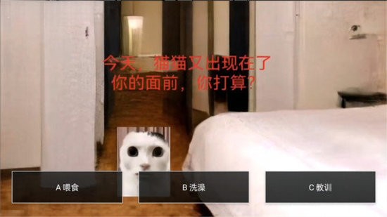èèҹʽ
