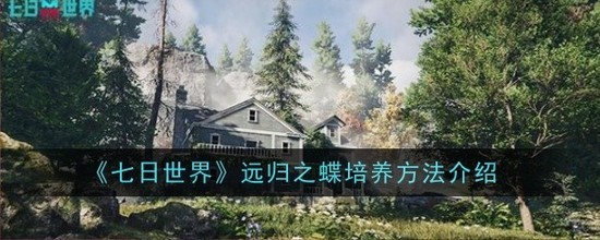 Զ֮Ƽ ()Զָ֮
