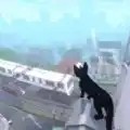 СèϷ°