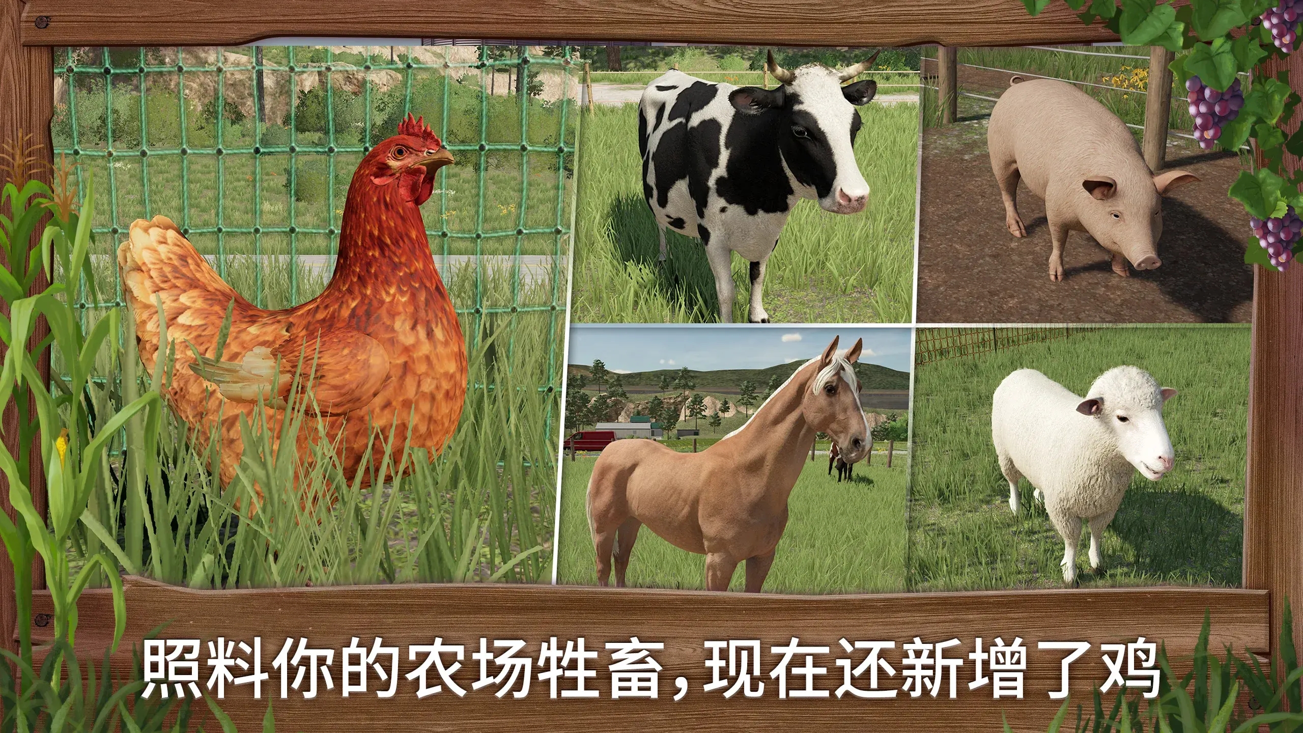 ģũ23޽