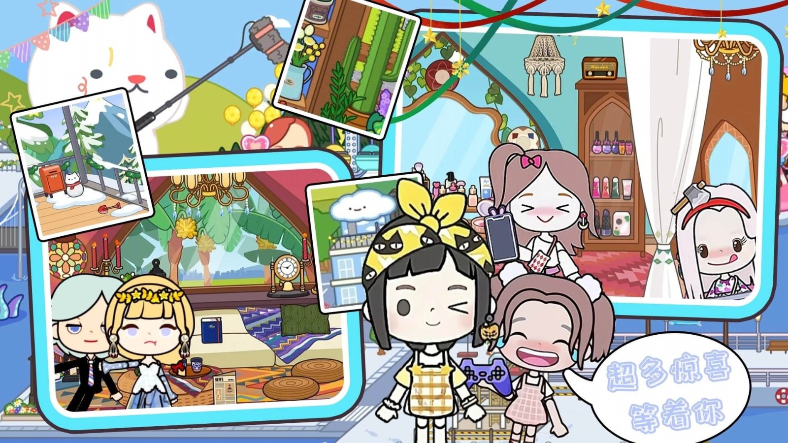 ׼Сô浵