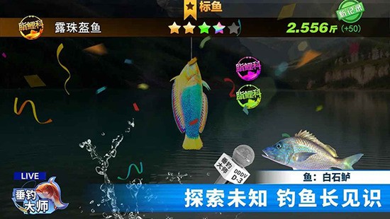 ʦ޹°