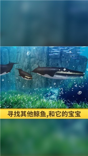 3dģϷ