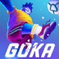 gokaͷappٷ汾