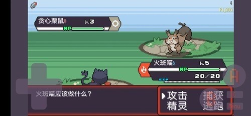 뺺