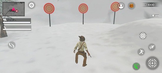ţ
