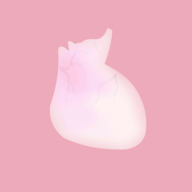 lifeٷ