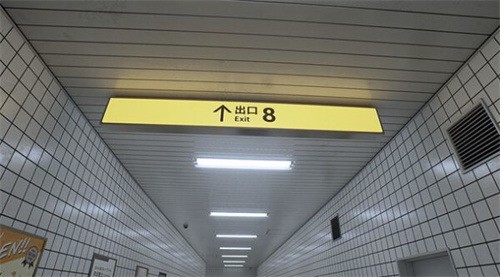 8ֻ
