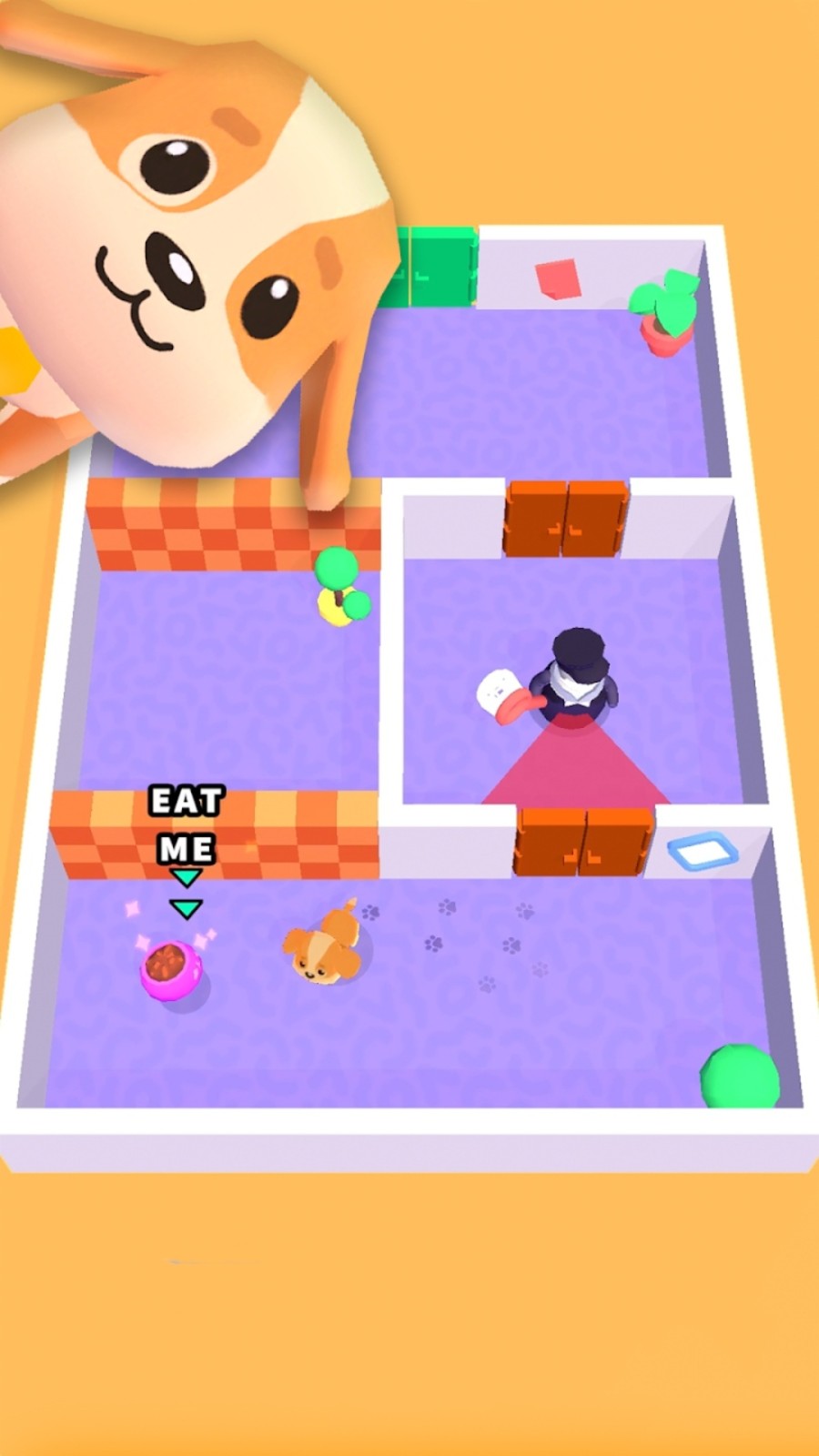 ׿