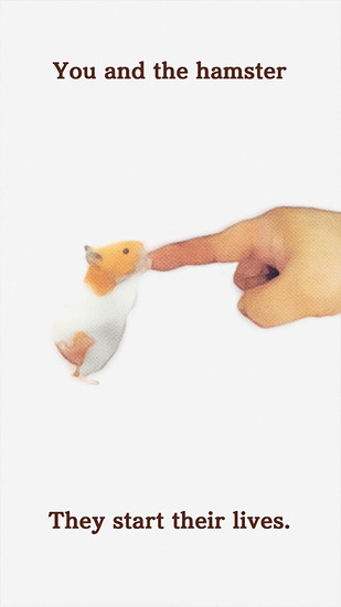 ҵĲ׿ 
