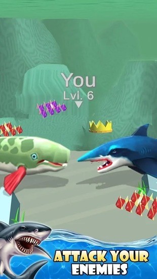 ˮ3D¹ٷ 