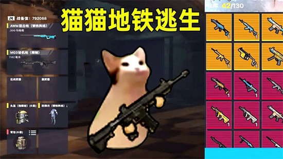 èè޽޹