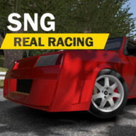 SNGʵϷֻ