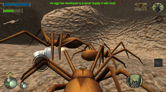 ֩ģ