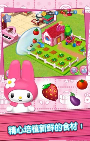 HelloKittyʳСϷ°