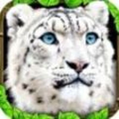 �ռ�ѩ��ģ������������